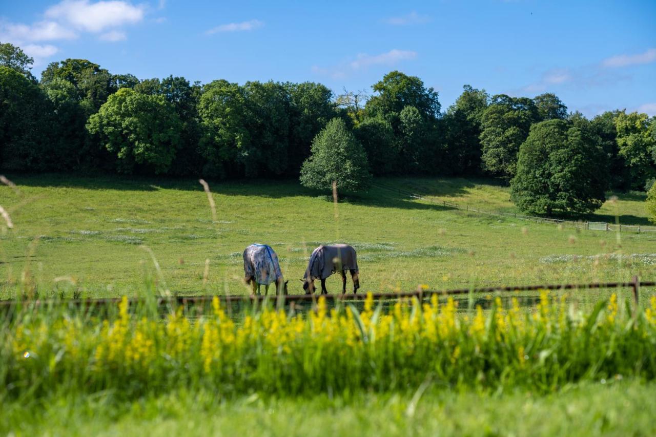 Henge Estate - Restored Manor House, Up To 11 En-Suite Bedrooms Shrewton Exterior photo